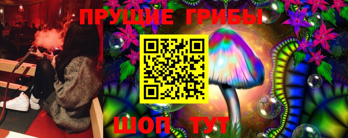 Воронеж  Псилоцибиновые грибы прущие грибы  даркнет сайт  Вход с VPN 